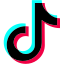 TikTok Icon